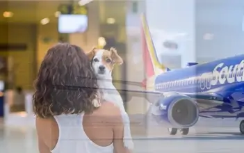 Southwest Airlines Pet Policy-sm